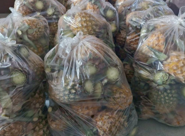 สำนักงานสหกรณ์จังหวัดเชียงรายกระจายผลผลิตสับปะรดภูแลออกนอกพื้นที่การผลิต ... พารามิเตอร์รูปภาพ 9